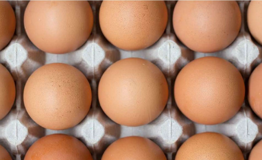 Eating eggs every day or increasing heart risk?.jpg