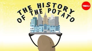 从土豆的角度看历史