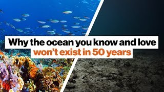 为何珊瑚礁会在50年内消失.jpg