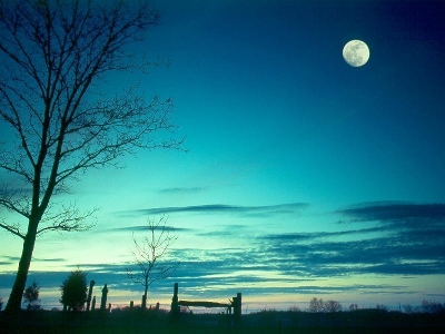 月色朦胧 挂在每一个想家的夜