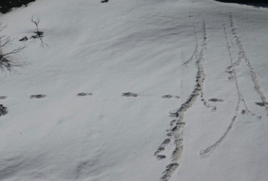印度军队：发现神秘“雪人”脚印.png