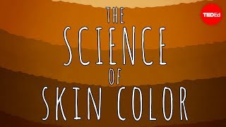 关于皮肤颜色的科学