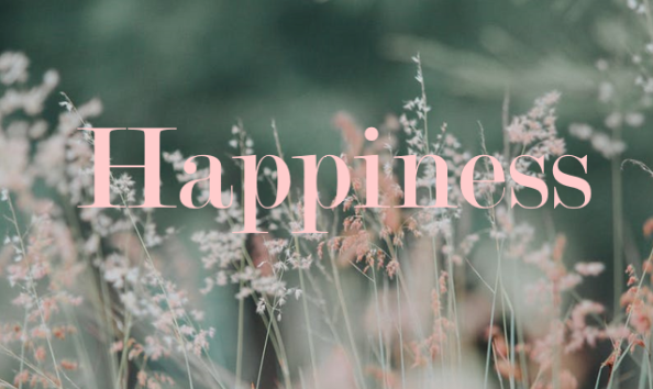 幸福是人生的终极目标?