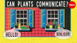 植物能互相交谈吗