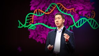 我们能重写DNA来治疗基因疾病吗