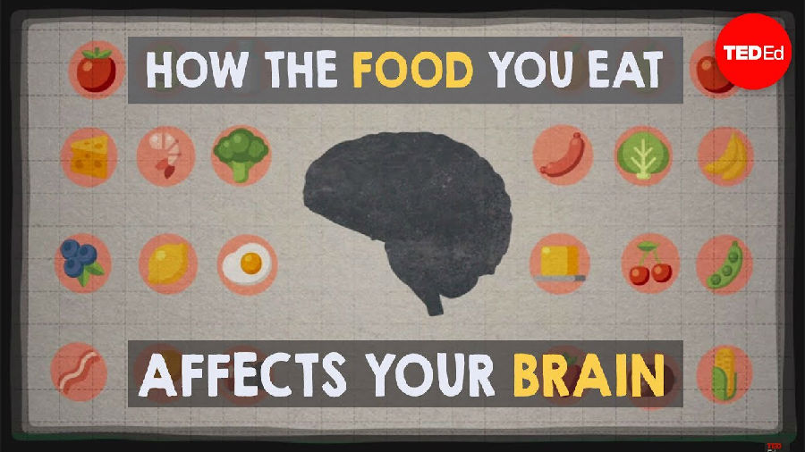 食物是如何影响大脑的