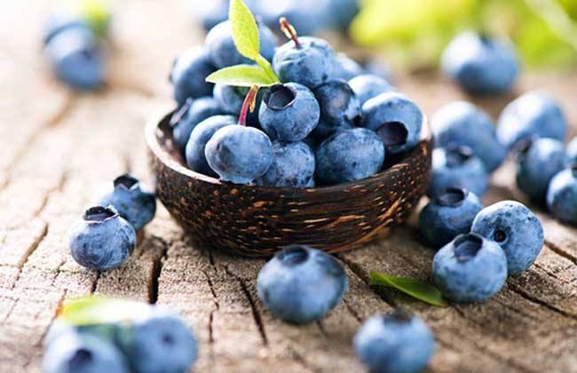The health benefits of blueberries.jpg