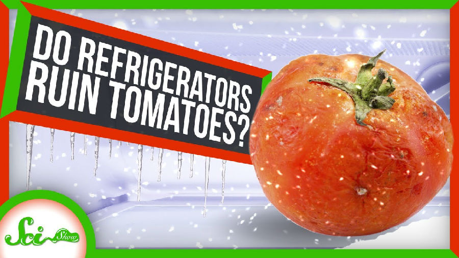 为什么不可以把西红柿放进冰箱.jpg