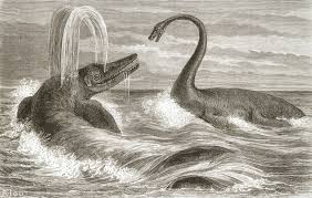 ichthyosaurs.jpg