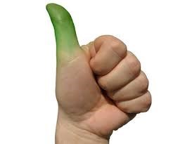 have a green thumb是有绿手指的意思