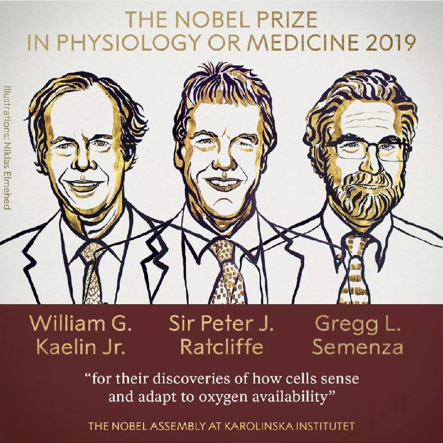 三名科学家分享2019年诺贝尔生理学或医学奖.png