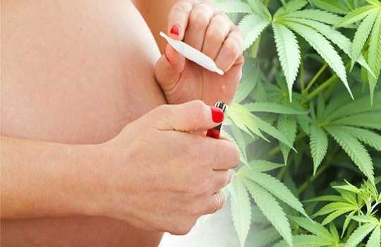 大麻和妊娠(1).jpg