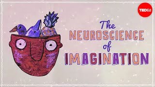 想象力背后的神经科学