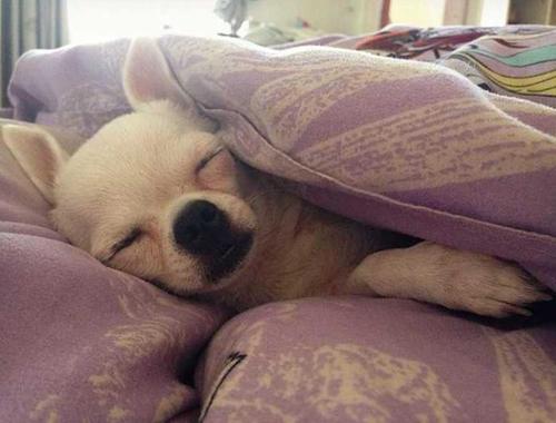 加厚毛毯或有助于降低焦虑促进睡眠.jpg