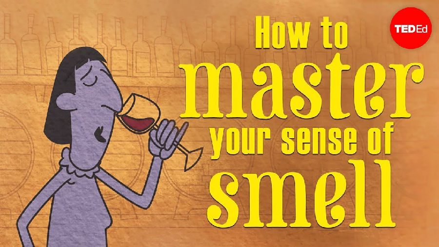 如何训练你的嗅觉