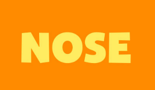 关于nose的表达