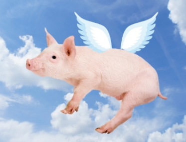 pigs fly是猪飞了的意思?