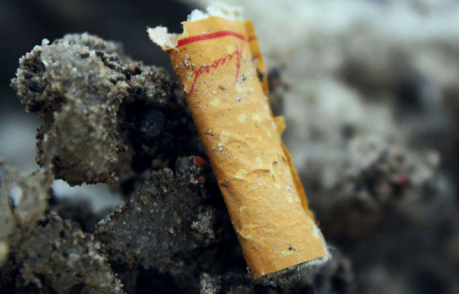 减少垃圾从禁止使用香烟过滤嘴开始.jpg