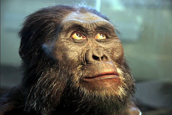 australopithecines.jpg