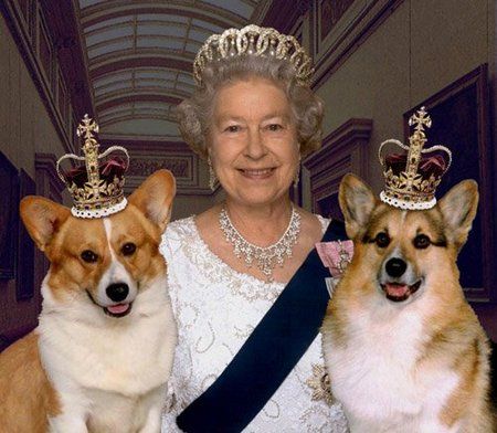 伊丽莎白二世和她的柯基犬.jpg