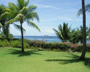 Tropical-area-mactan-philippines (2)_副本.jpg