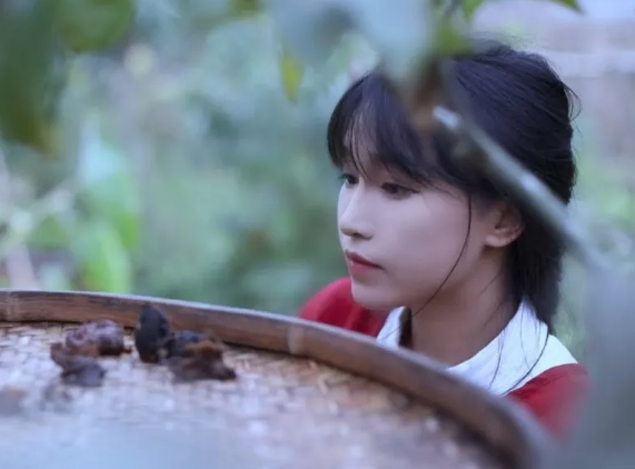 李子柒憑什么爆紅美國