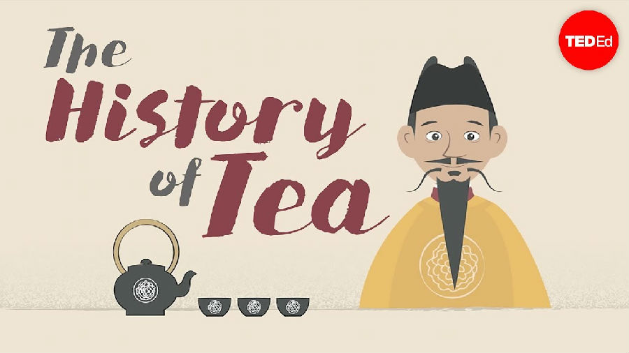 茶的发展历史