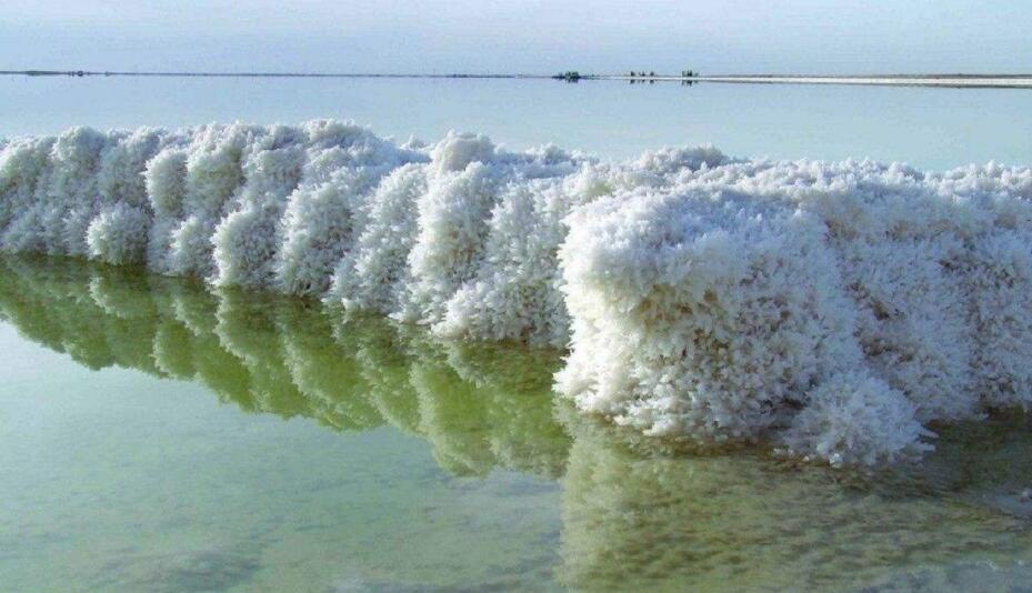 美大盐湖沿岸出现了罕见的盐岩.jpg