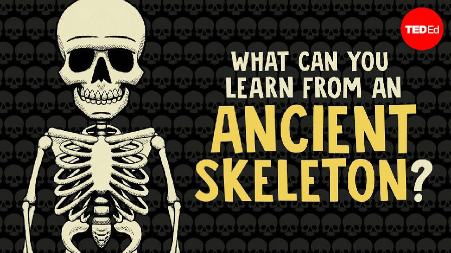 你能从古代的骨骼中了解到什么?