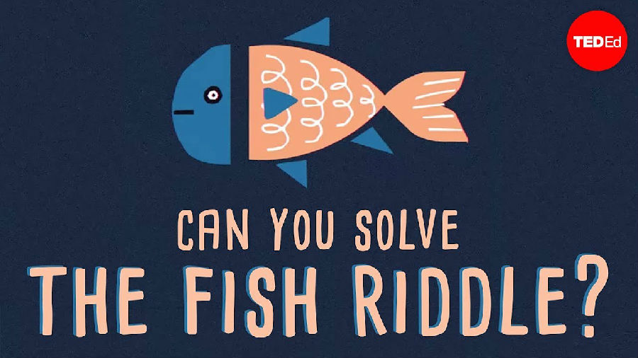 你能解开这个小鱼谜题吗