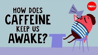 咖啡因如何使人清醒