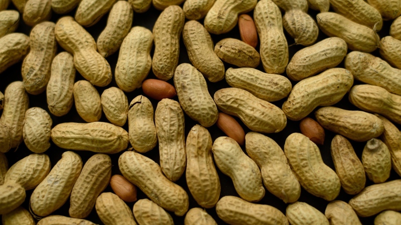 The United States approved the first medicine for the treatment of peanut allergy in children.jpg