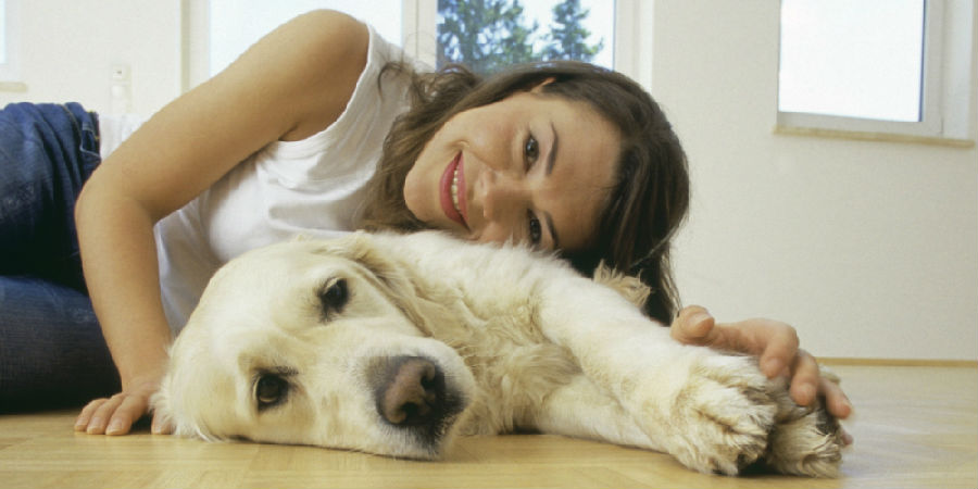 One in five people in the UK would rather have a dog than fall in love.jpg