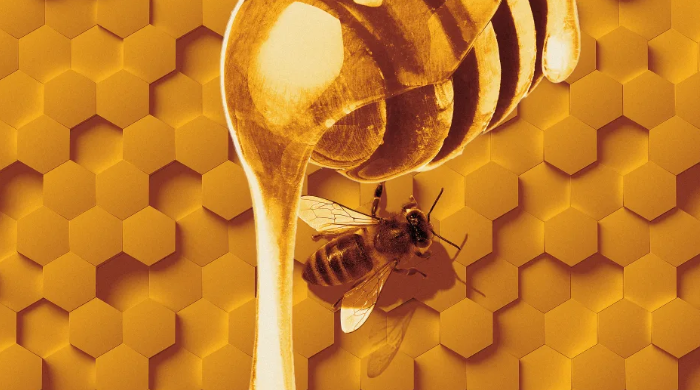 蜂蜜是个不环保的产业.png