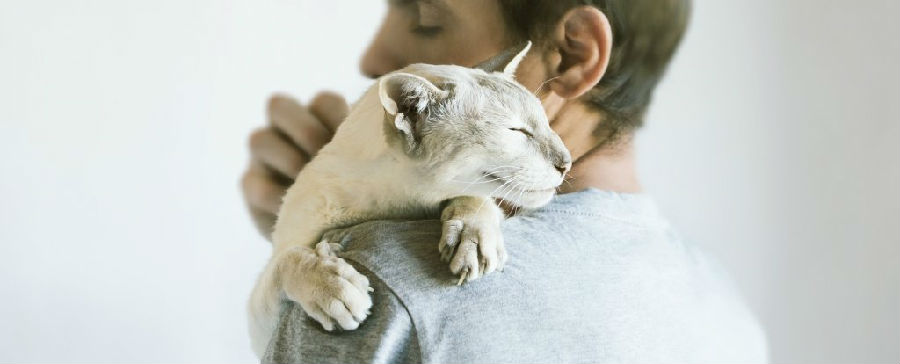 The relationship between cats and their owners may be more intimate than dogs.jpg