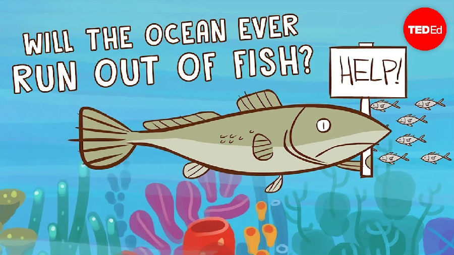 海洋中的鱼类会绝迹吗