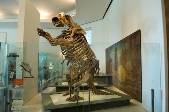 巨型地懒骨骼化石.jpg