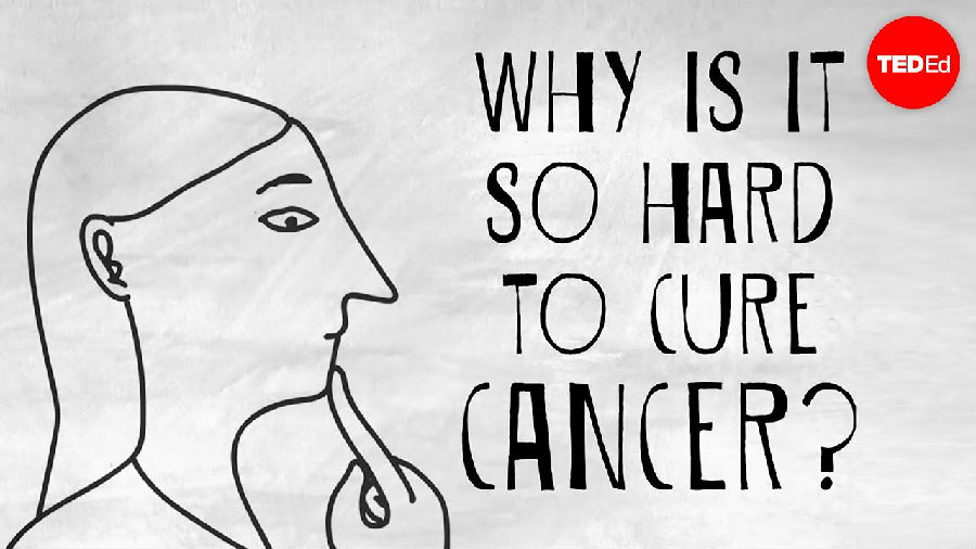 为什么癌症很难被治愈