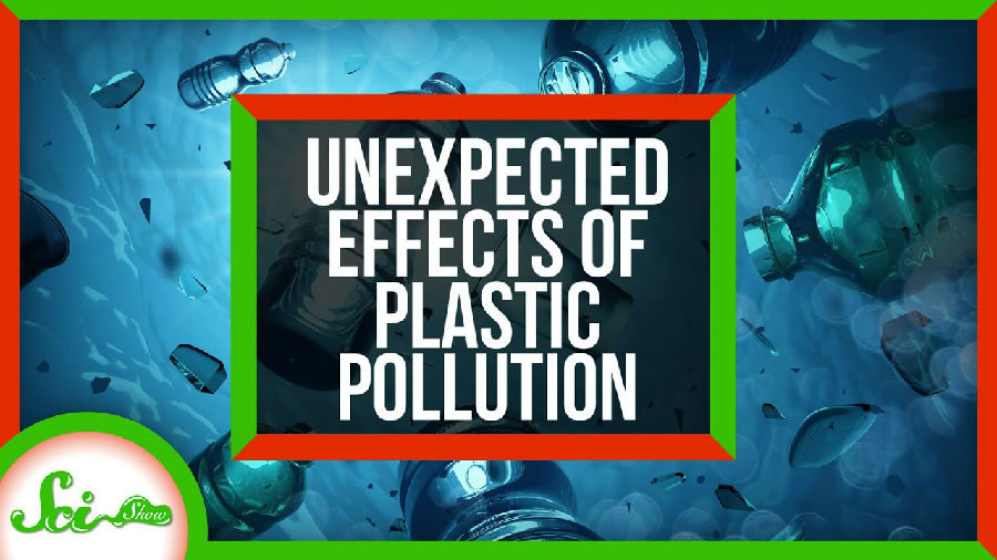 塑料污染的三种意想不到的影响