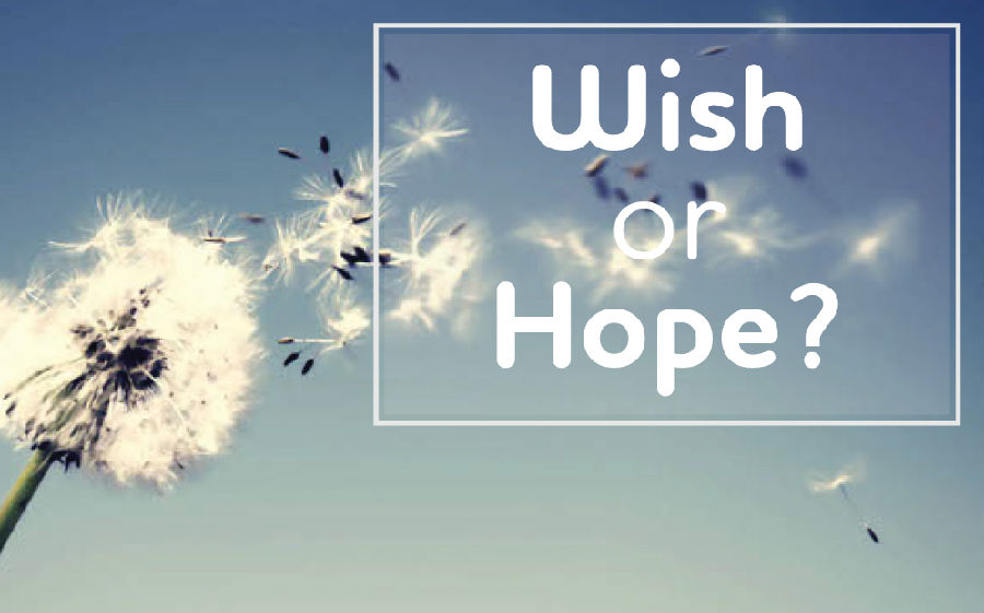 hope和wish的区别