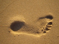 footprint.jpg