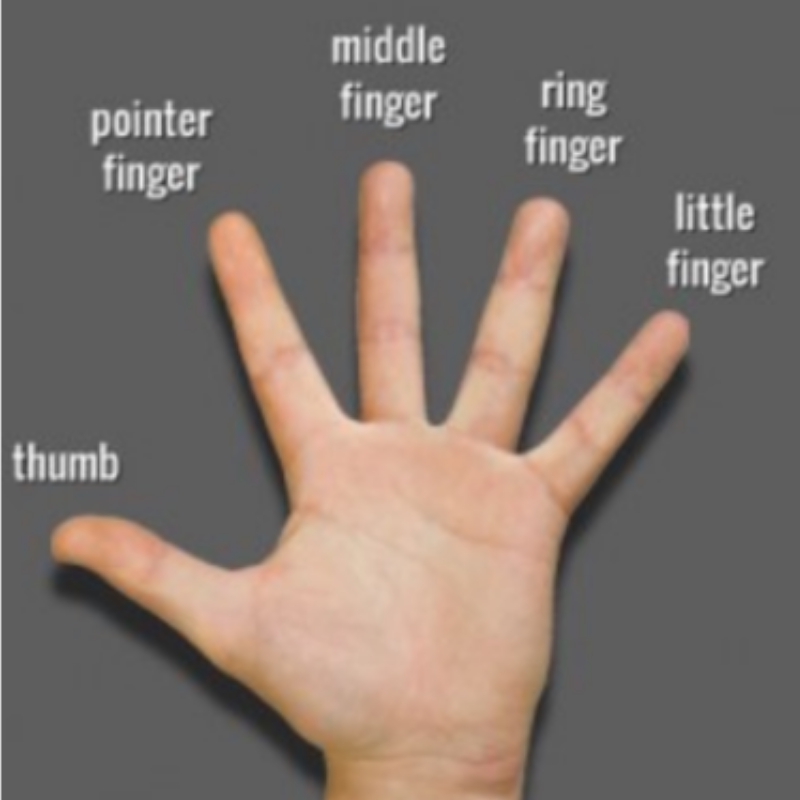 五根手指的英语到底怎么说?jpg