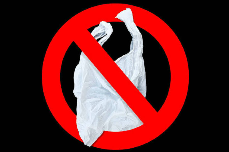 Non-degradable plastic bags will be banned.jpg