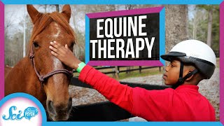 Equine Therapy Why Horses Might Make Great Therapy Animals.jpg