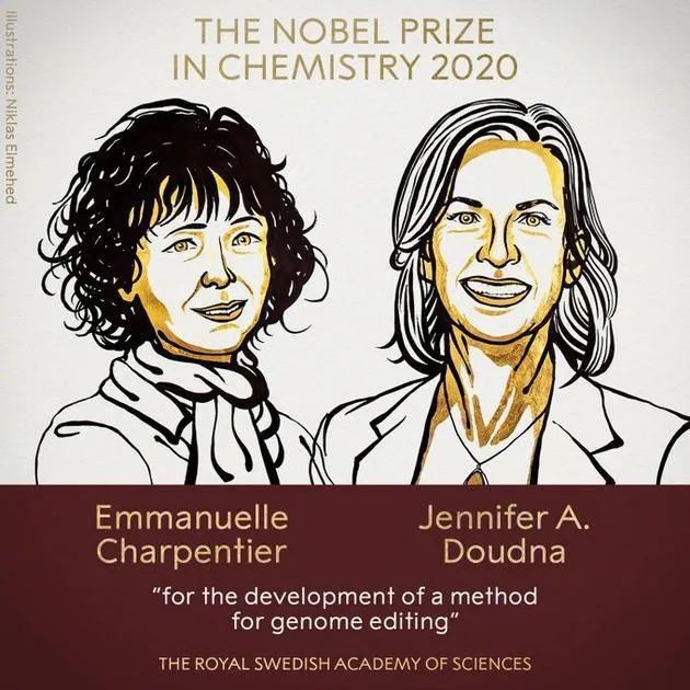 埃马纽埃尔·卡彭蒂耶和詹妮弗·道德纳获得2020年诺贝尔化学奖.jpg