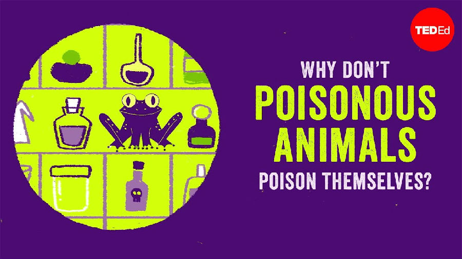 为什么有毒的动物不会毒死自己