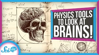 3 Ways Physics Can Help Us Understand the Brain.jpg