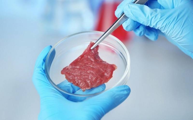 新加坡率先批准出售实验室培养肉 .jpeg