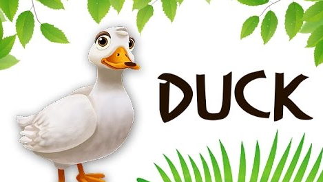 与duck相关的俚语