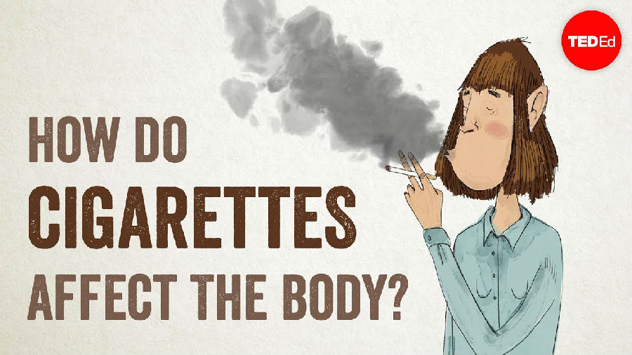 香烟是如何影响我们的身体的